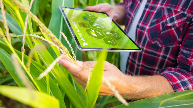  O papel das startups agrícolas na inovação do agronegócio