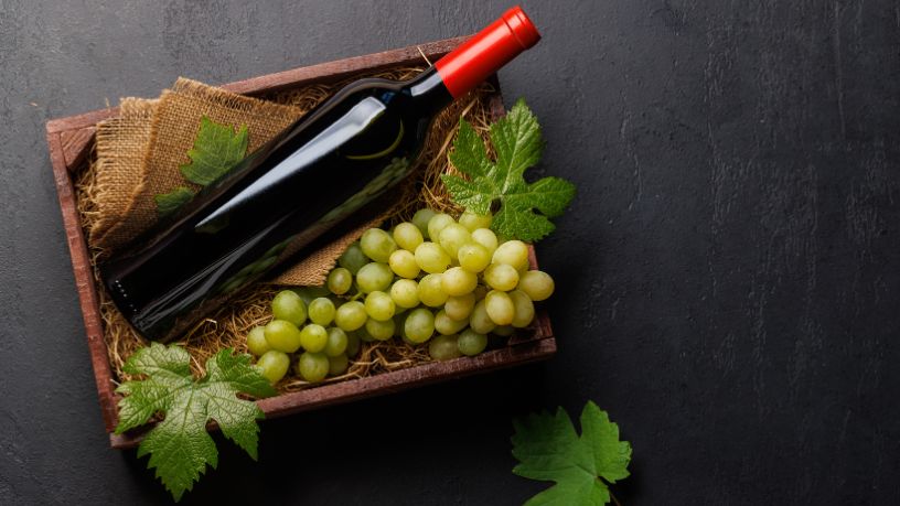  Sabor e frescor: o futuro dos vinhos espumantes com baixo teor de álcool 